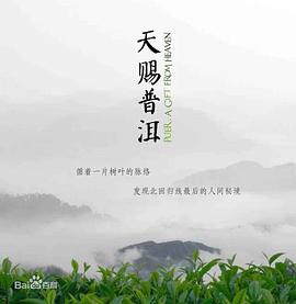 天赐普洱封面图