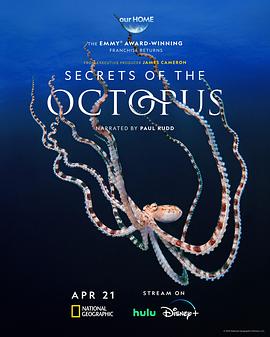 章鱼的秘密封面图